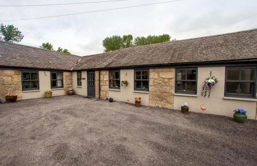 Dwylig Isa Holiday Cottages - Photo 47