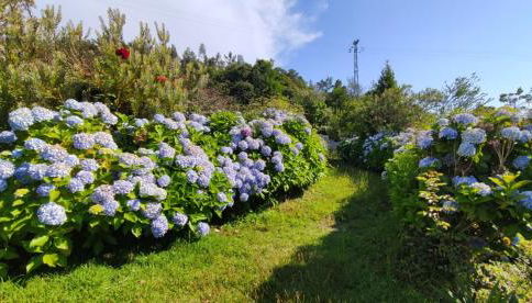 Quinta da Regada - Foto 5