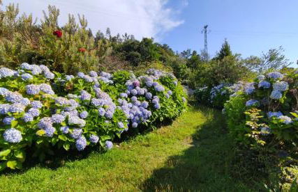 Quinta da Regada - Foto 5