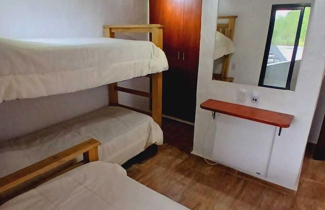 La Divina Pereza Eco - Foto 11