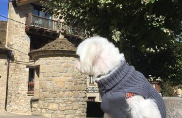 apartamentos turisticos san juan de la peña - Foto 43