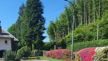 L'ECRIN DU LAC - Ô Cèpes - Foto 2