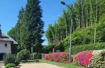 L'ECRIN DU LAC - Ô Cèpes - Foto 2