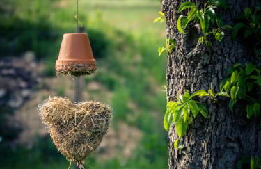 Pfeiffer´s Ferienwohnung - Foto 20