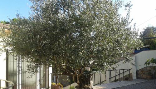 VillaPina1906 - Foto 3