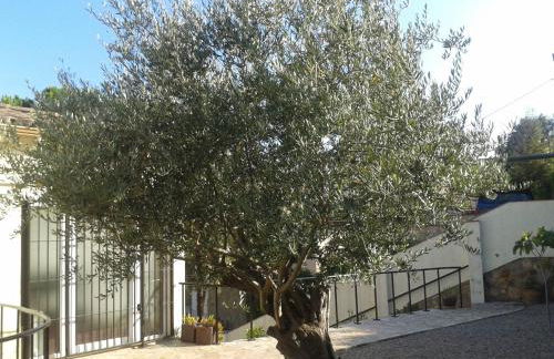 VillaPina1906 - Foto 3