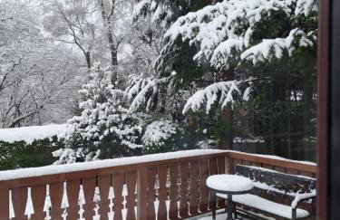 299 Willow Lodge - Foto 71