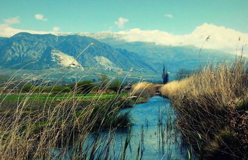 Cortijo de los geraneos - Foto 12