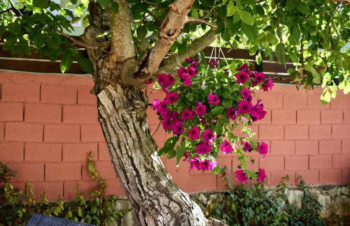 Casa Di Nina - Photo 18