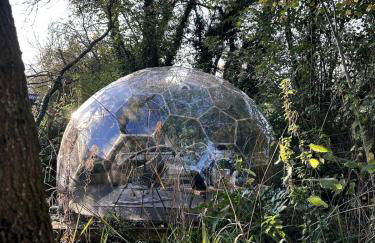 Natures Edge Cabin - Photo 28