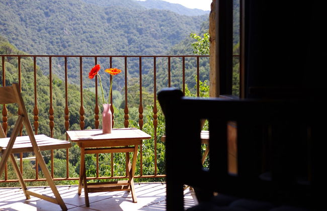 Mas Els Terrats - Foto 16