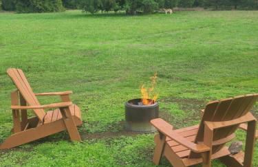 A Restful Studio Near a Creek and Forest - Pet Friendly - Foto 12