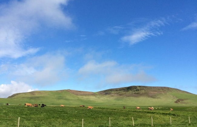 Hvammból Apartments - Photo 24