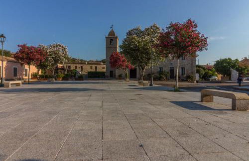 Petra Sarda - Foto 51