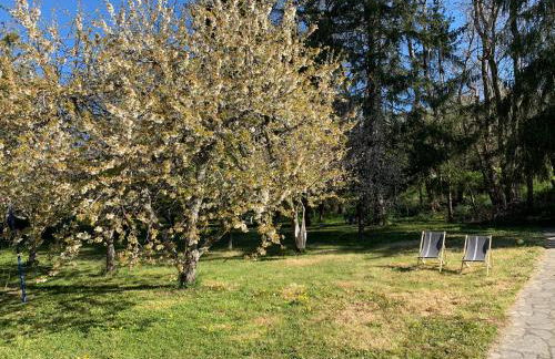 Charme à Saint-Fargeau - Foto 13