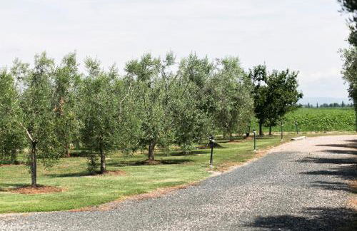 Agriturismo Valdo - Foto 59