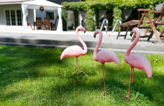 A Detached Bungalow With Outdoor Fireplace, Covered Terrace and Pond in a Forest Plot - Photo 76