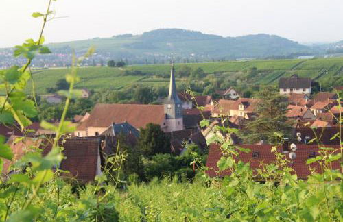 A L'orée des vignes, superbe logement de 80 m2 - Foto 21