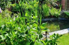 Ferienhaus Korn mitten im schönen Pfälzer Wald, Privat Haus - Foto 20