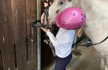 Heidegut Eschede Reitsportanlage und Feriendorf - Foto 54