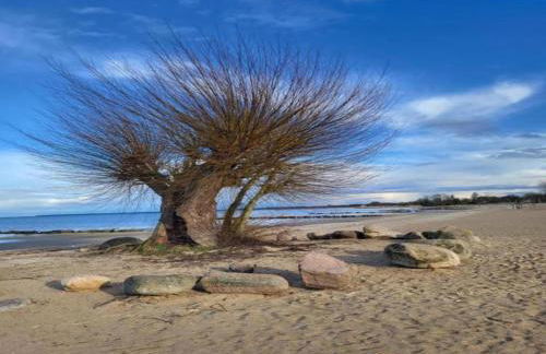 Comfort Meets Coastal Charm - Foto 30