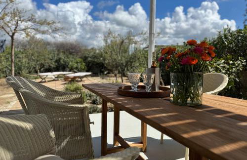 Argana Naxos private villa with pool and garden - Foto 25