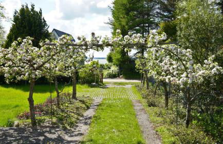 Dat Appelhuus - Foto 2