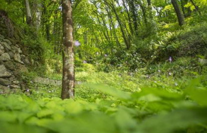 Quinta do Fontelo - Foto 29