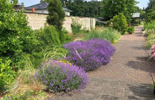 Flussperle - Foto 28