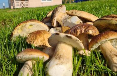 JAFERÓWKA Domki w górach SAUNA JACUZZI - Foto 23