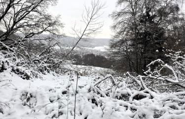 Ferienhaus Kruko - Photo 40