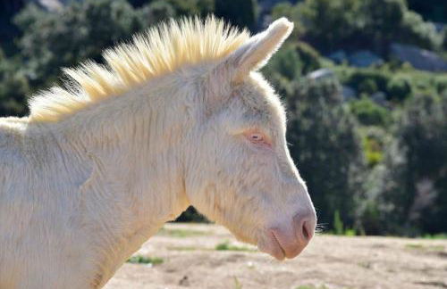 La Madama • Casa Vacanze - Foto 54