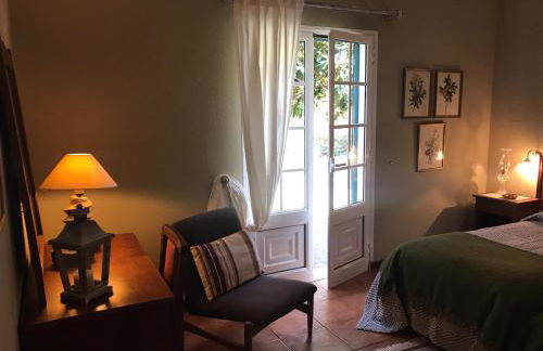 Palheirinho da Camélia - Foto 15