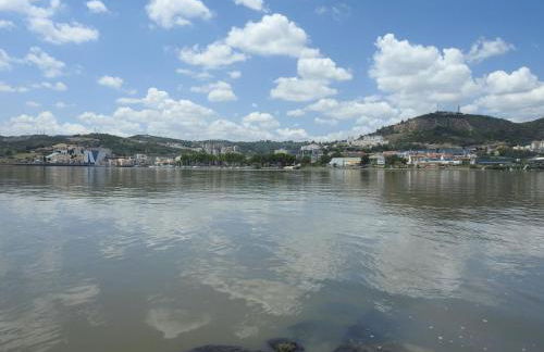 the writer's neighbor I - Foto 24