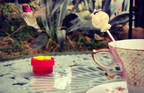 Vintage RV Creekside Nature Retreat near Ojai next to Swim Holes Hike - Foto 43