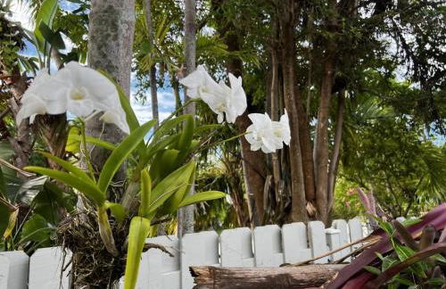 Caribbean Sunsets - Foto 38