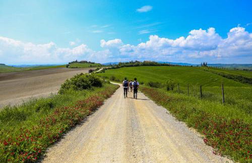 Villa Ginevra-Villa Indipendente-Crete Senesi-Tuscany - Foto 53