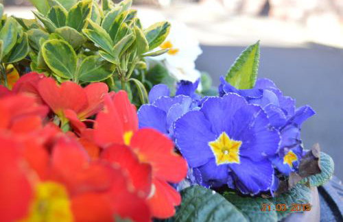 Loaninghead Holidays - Foto 9