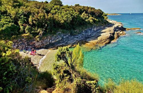 Yellow submarine - whole house - Foto 49