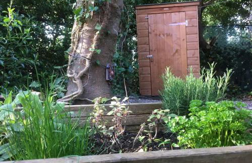 Pebbles Seaside Lodge - Foto 24