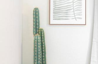 Primrose Palace Fountain Park Pool Hot tub - Foto 158