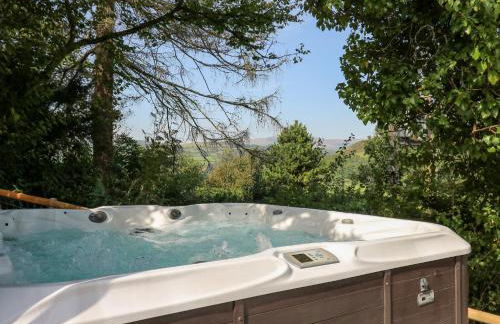 The Coach House at Plas Dolguog - Foto 35