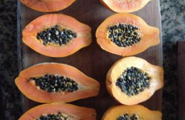 Garden Oasis at Banana Hale Studio - Foto 26