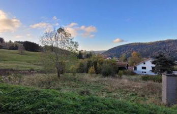 Le Petit Sapin - Foto 27