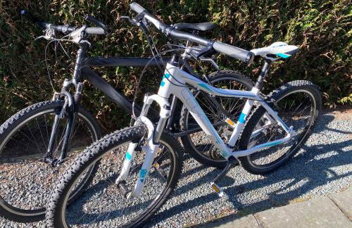 Mas Vigneron - Foto 18