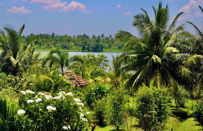 Lake Villa Near Udawalawe National Park - Foto 51