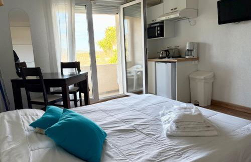 Studio 3 pers climatisé avec piscine à ST FLORENT - Foto 24