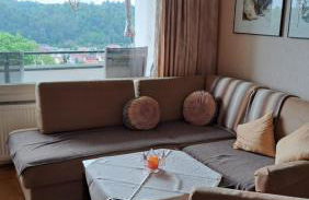 Harzer Ferienwohnung mit Pool und Sauna - Foto 1