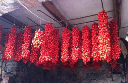 Nido Degli Dei - Foto 51