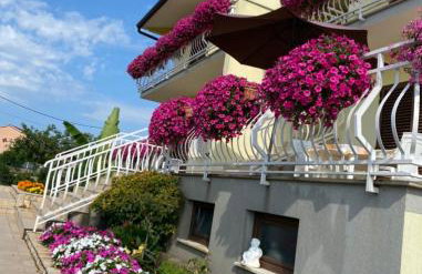 Apartments Mišon - Foto 10